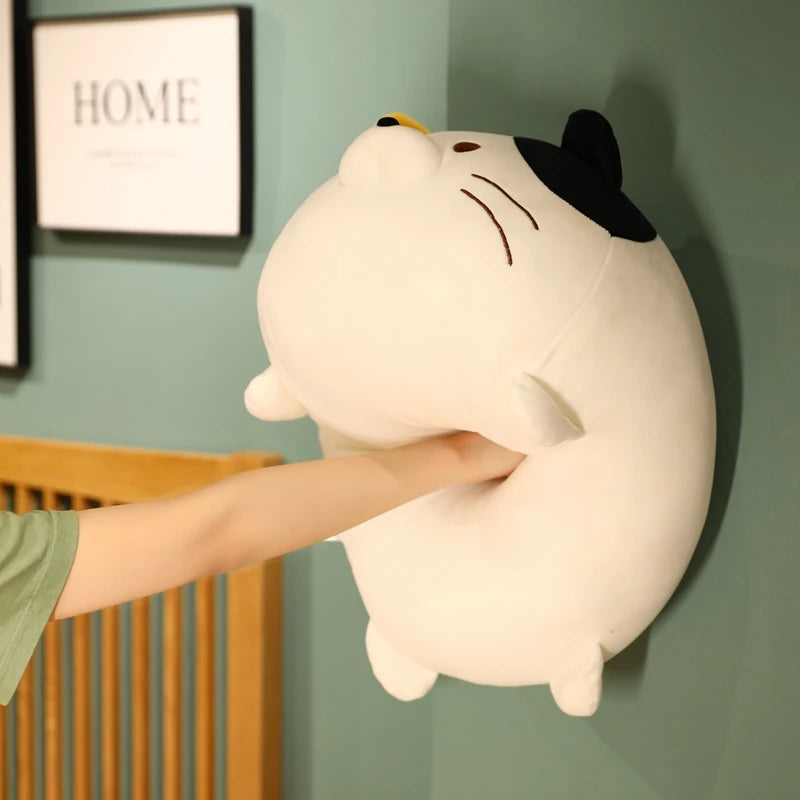 Cute Chubby Cat Plush Toy - Image 3