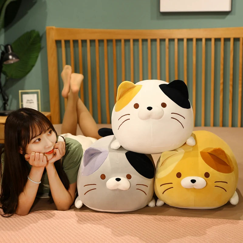 Cute Chubby Cat Plush Toy - Image 2