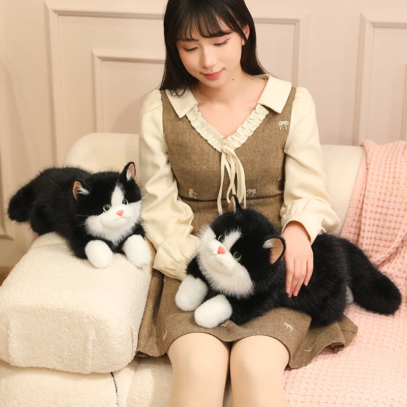 Chubby Fluffy Cat Plush Toy - Image 2