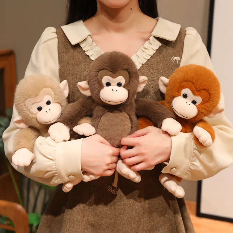 Cute Assorted Brown Monkey Plush Animal - Image 3