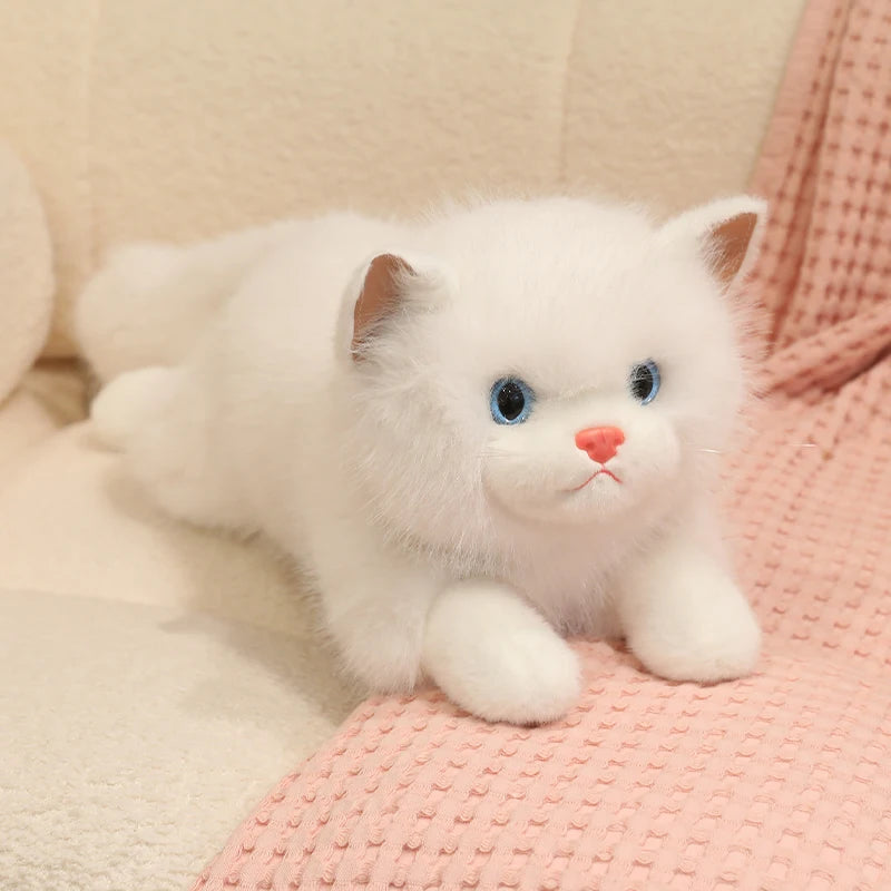 Chubby Fluffy Cat Plush Toy - Image 8