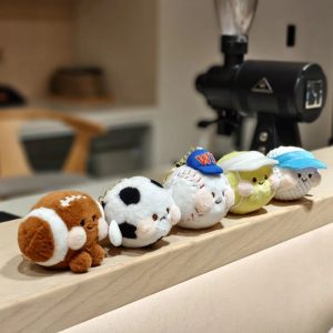 Cute Sports Ball Plush Keychains Set of 5