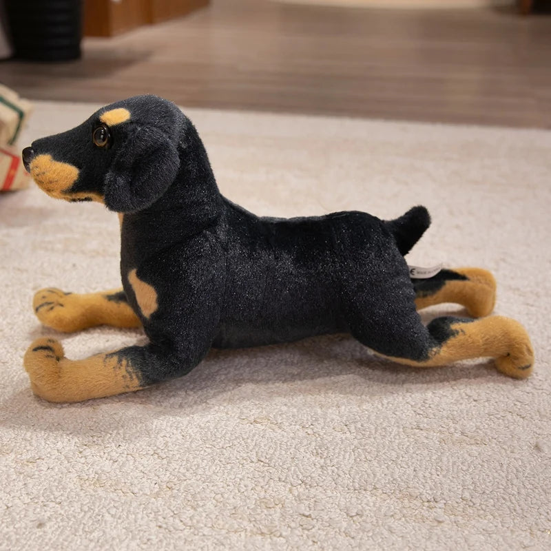 Realistic Black and Tan Dachshund Plush Dog Duo - Image 4