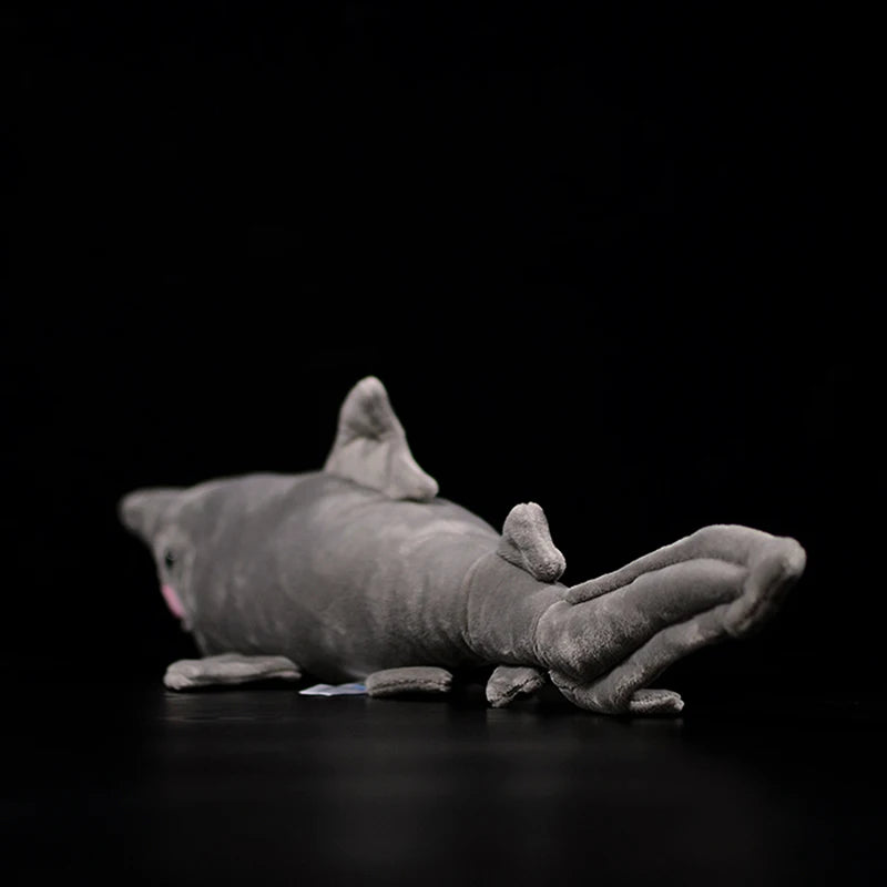 Gray Shark Plush with Pink Mouth and Sharp Teeth - Image 4