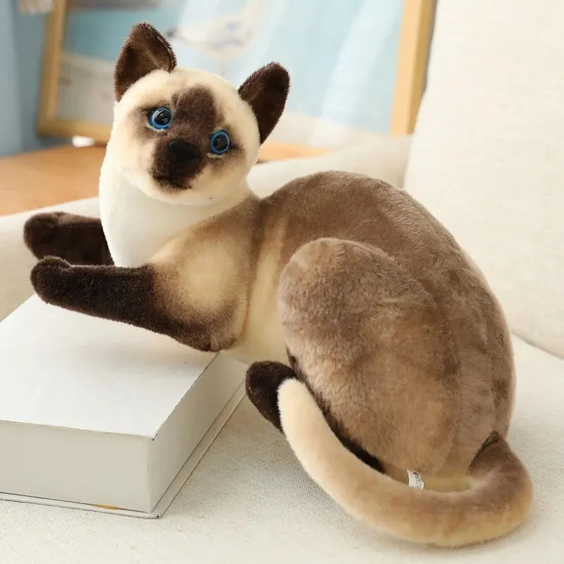 Realistic Siamese and Tabby Plush Cats - Image 12