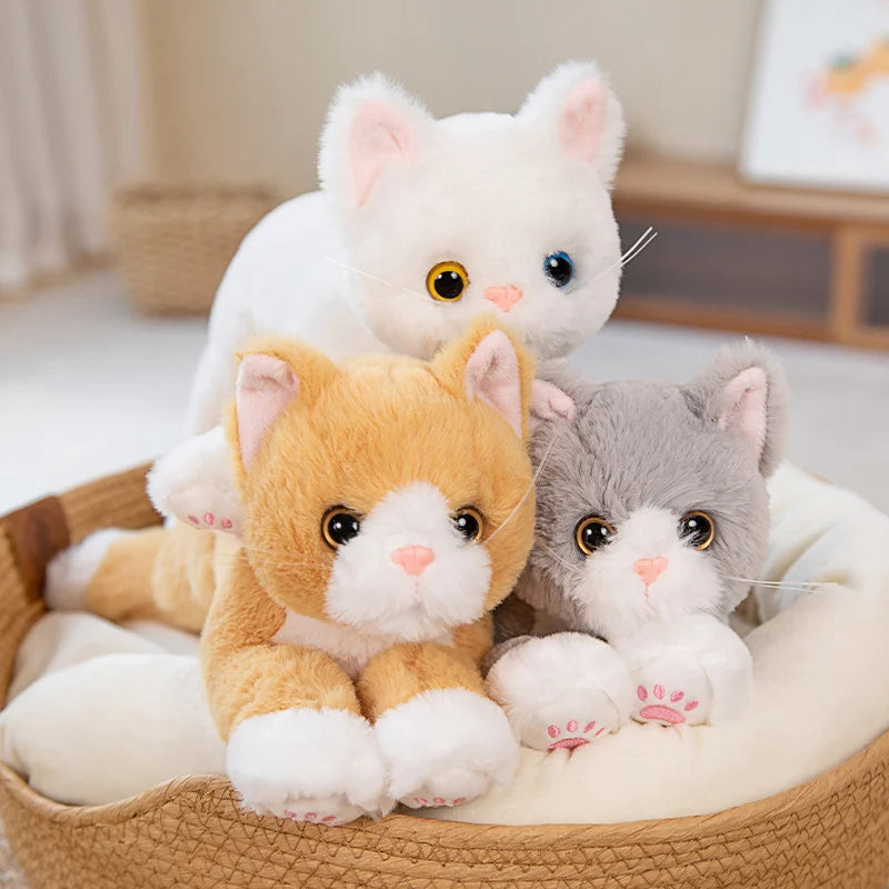 Soft White Plush Cat with Heterochromia Eyes - Image 2