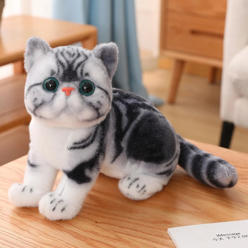 Chubby Big-Eyed Plush Cat Toy - Image 7