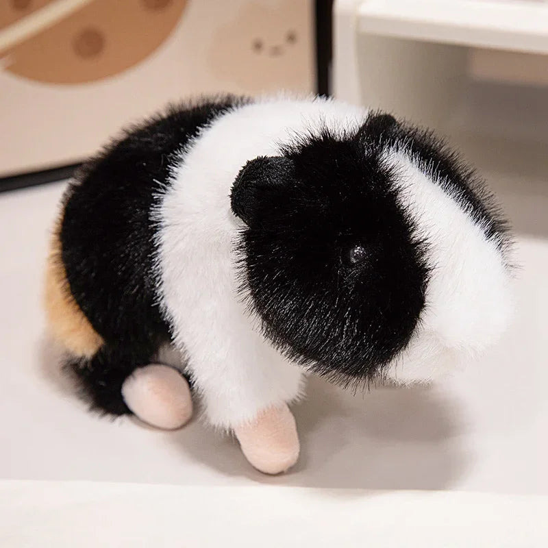 Assorted Fluffy Guinea Pig Plush Toys - Image 10