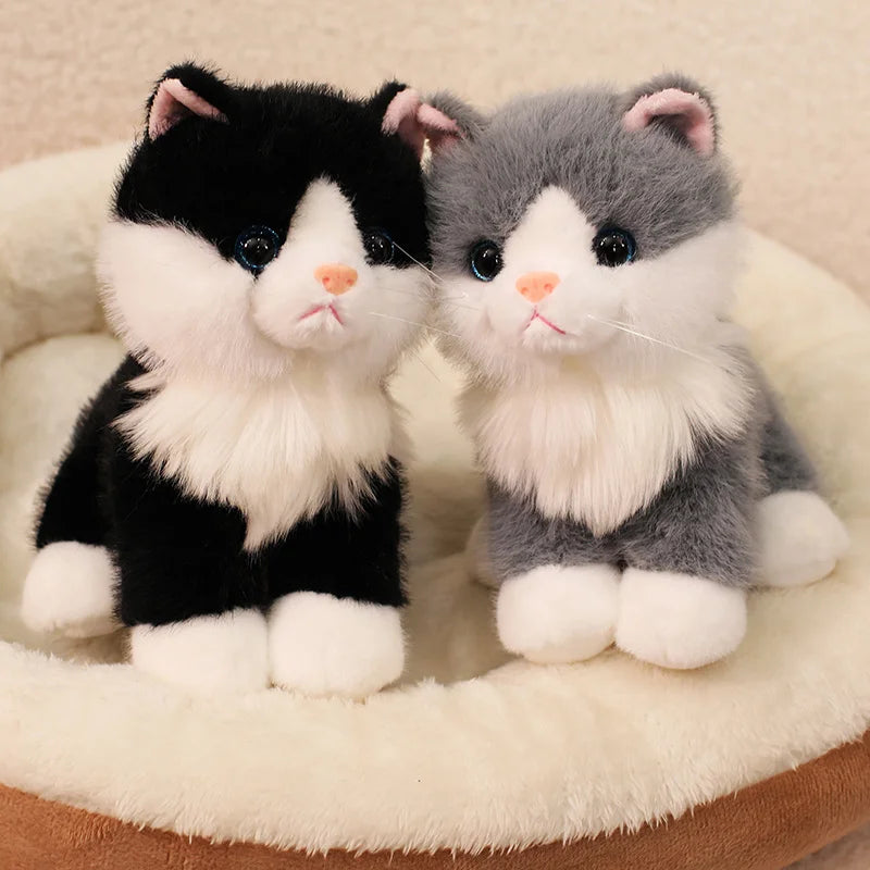 Cute Bicolor Sitting Cat Plush Toy - Image 5