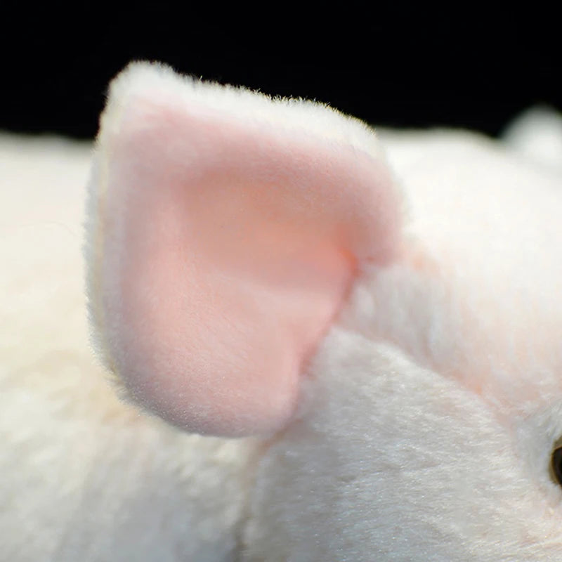 Realistic Plush Pig Toy in Pink and Black - Image 6