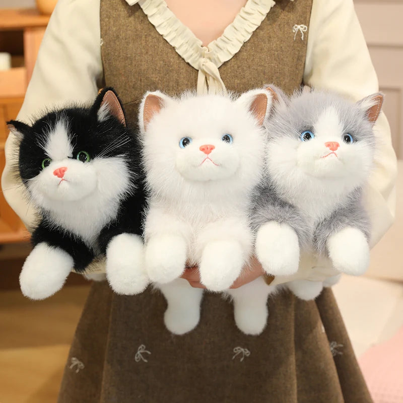Chubby Fluffy Cat Plush Toy - Image 4
