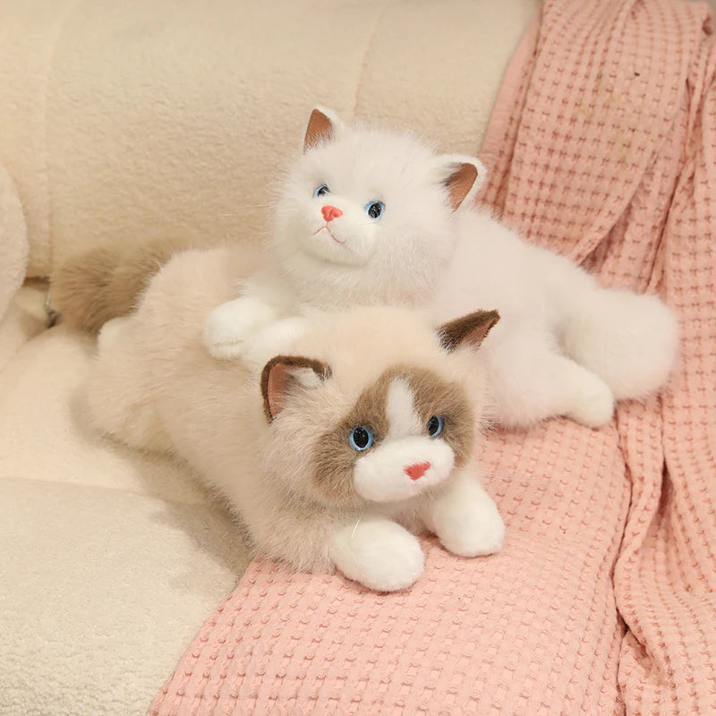 Chubby Fluffy Cat Plush Toy - Image 5