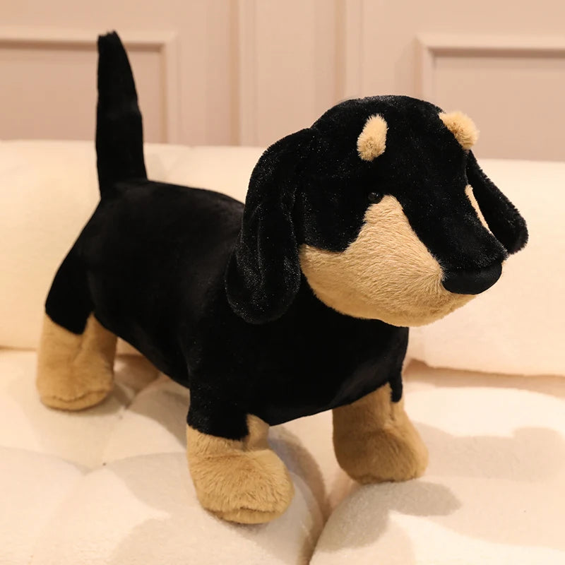 Black and Tan Dachshund Plush Toy - Image 7