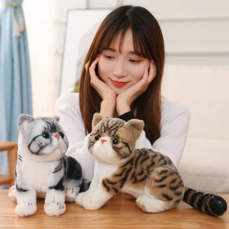 Chubby Big-Eyed Plush Cat Toy - Image 2