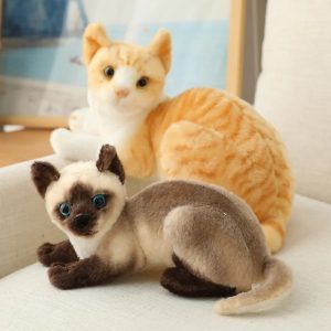 Plush Seal Point Siamese Cat with Blue Eyes
