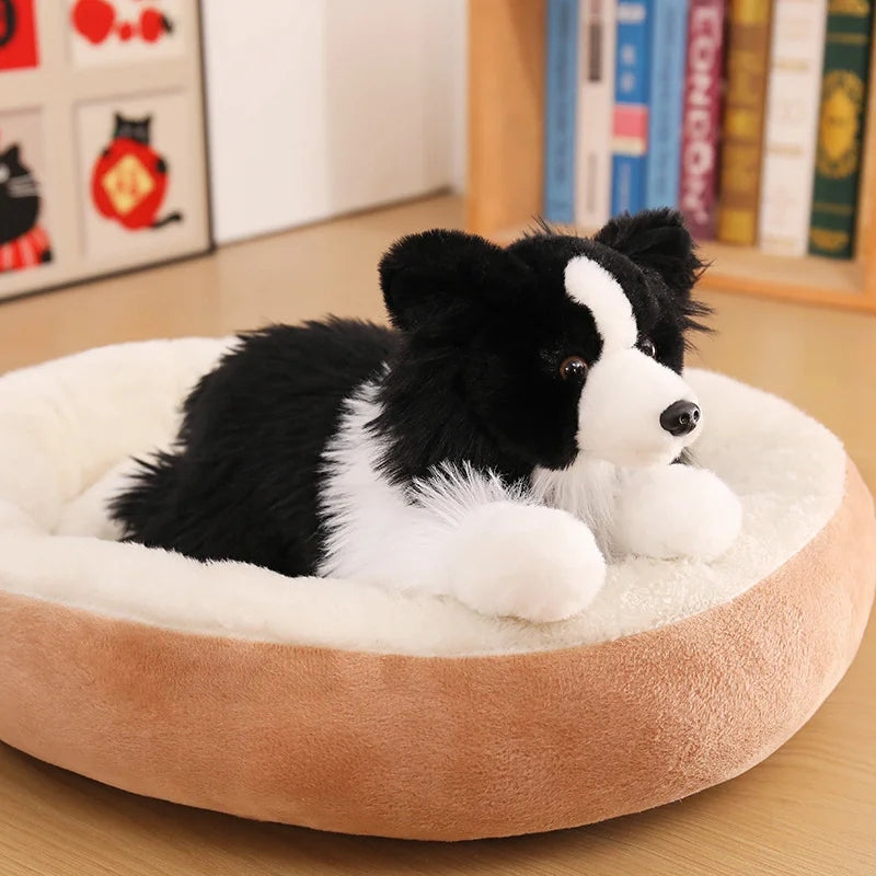 Realistic Black and White Border Collie Plush - Image 5