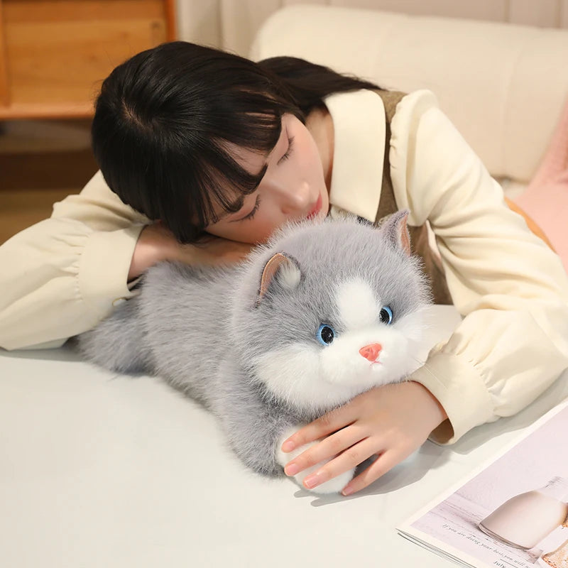 Chubby Fluffy Cat Plush Toy - Image 3