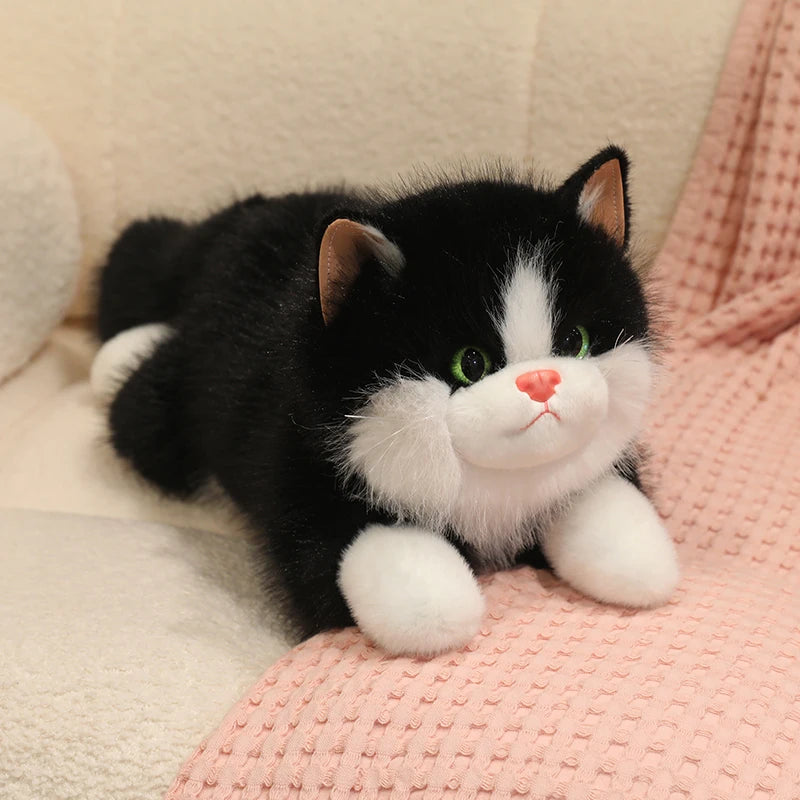 Chubby Fluffy Cat Plush Toy - Image 7