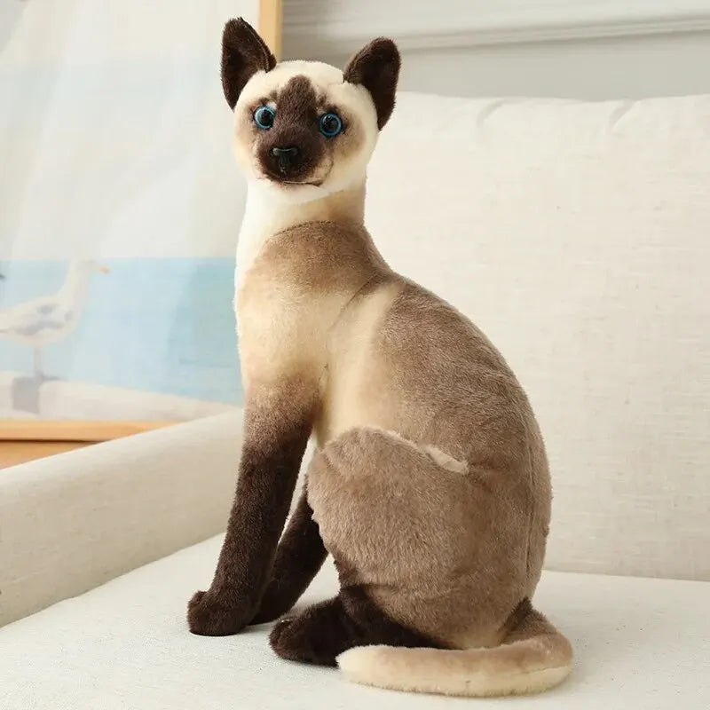 Plush Seal Point Siamese Cat with Blue Eyes - Image 7