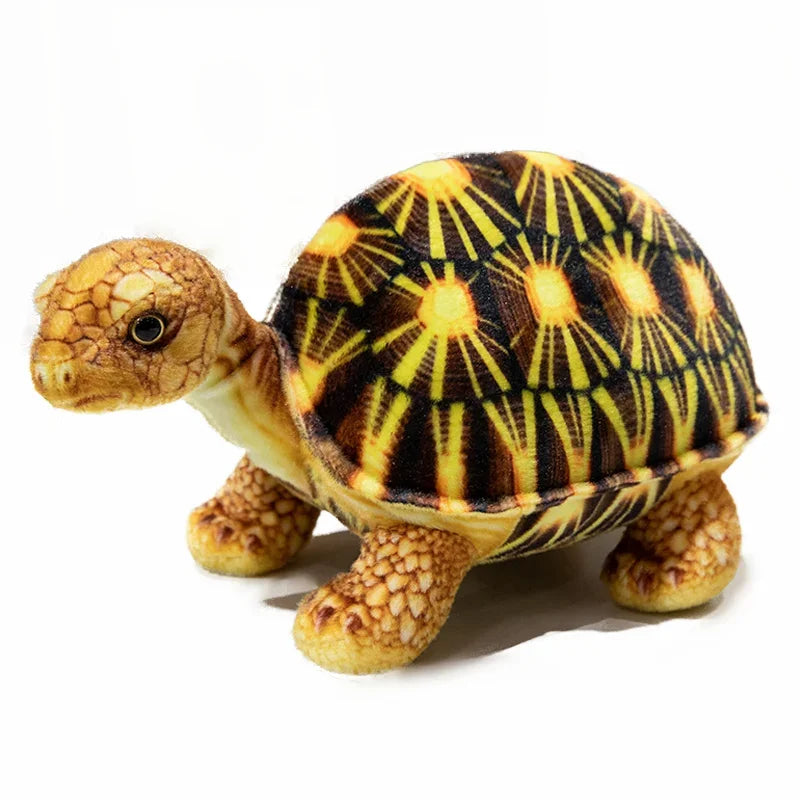 Soft Realistic Turtle Plush with Lifelike Shell Design - Image 9