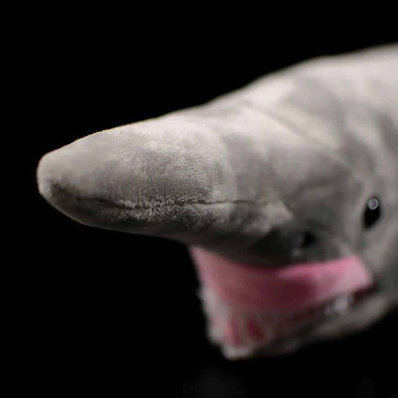 Gray Shark Plush with Pink Mouth and Sharp Teeth - Image 3