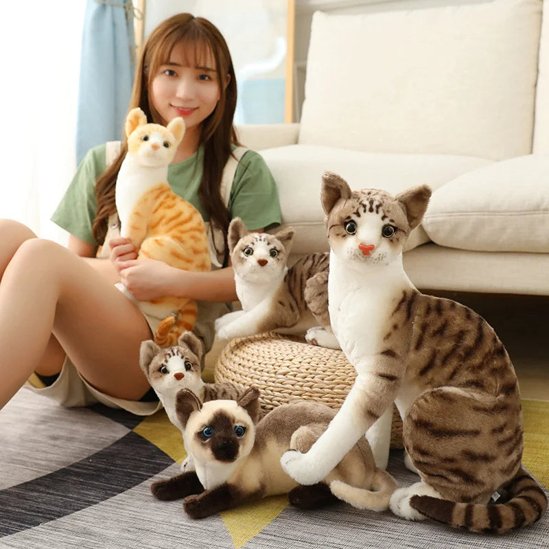 Plush Seal Point Siamese Cat with Blue Eyes - Image 4