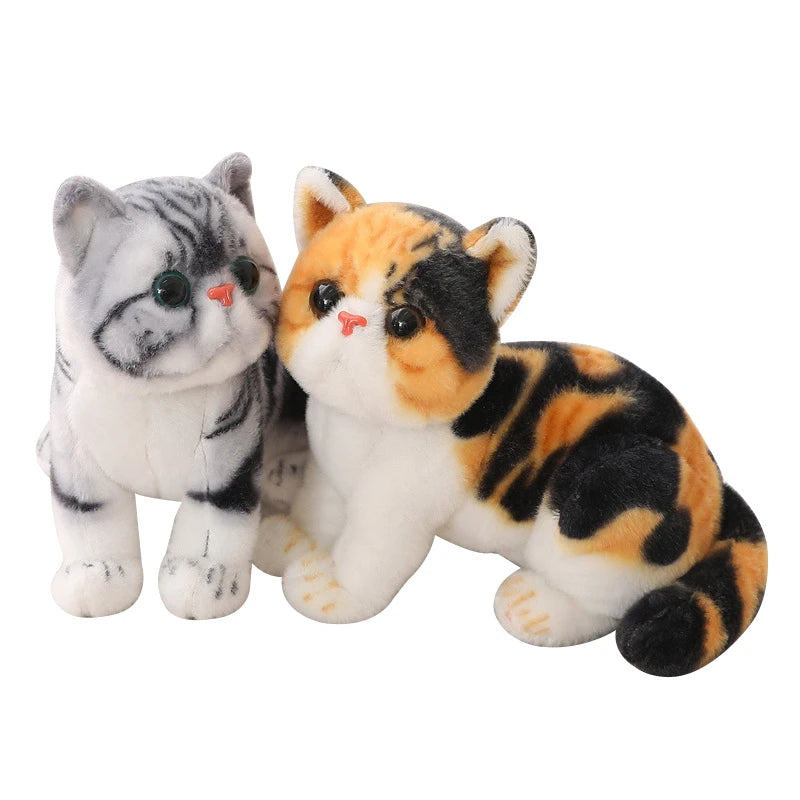 Chubby Big-Eyed Plush Cat Toy - Image 6