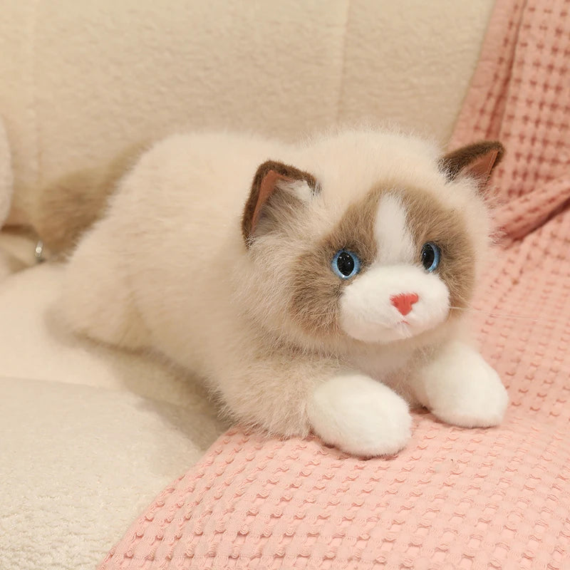 Chubby Fluffy Cat Plush Toy - Image 9