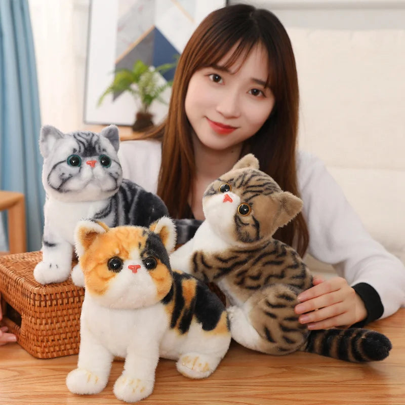 Chubby Big-Eyed Plush Cat Toy - Image 3