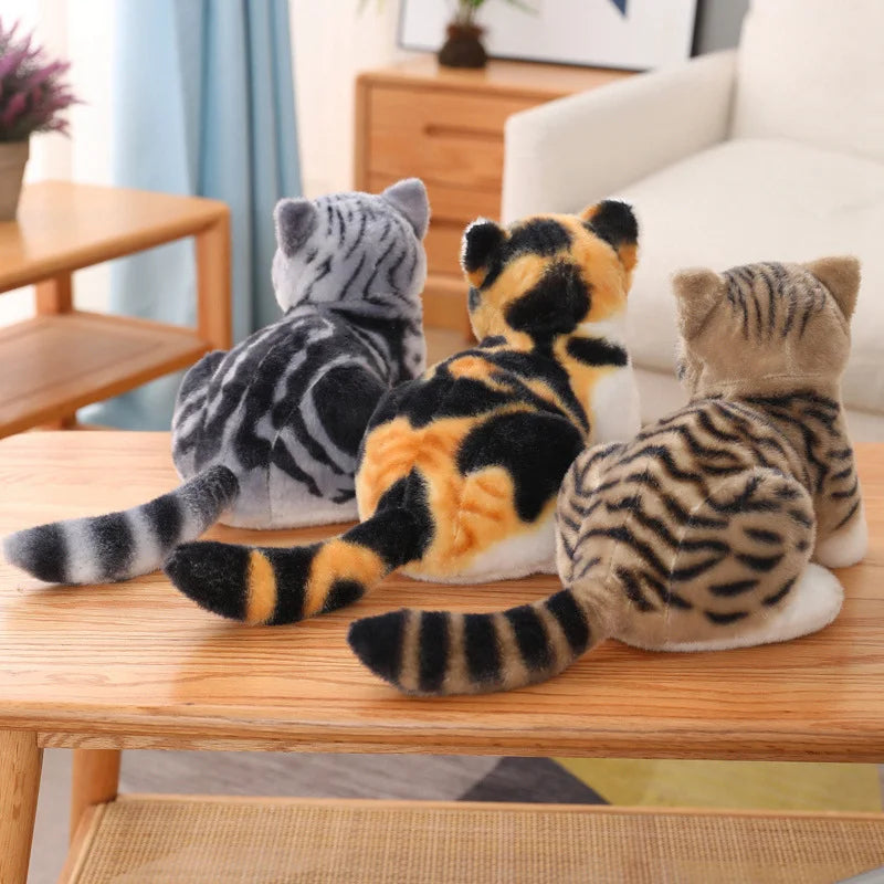 Chubby Big-Eyed Plush Cat Toy - Image 4