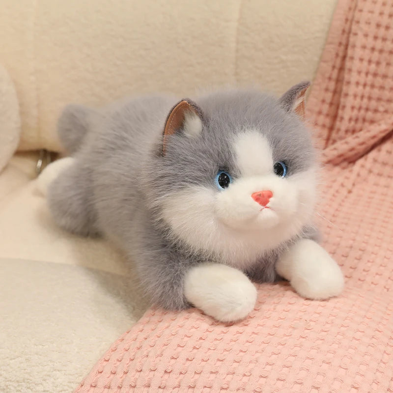 Chubby Fluffy Cat Plush Toy - Image 6