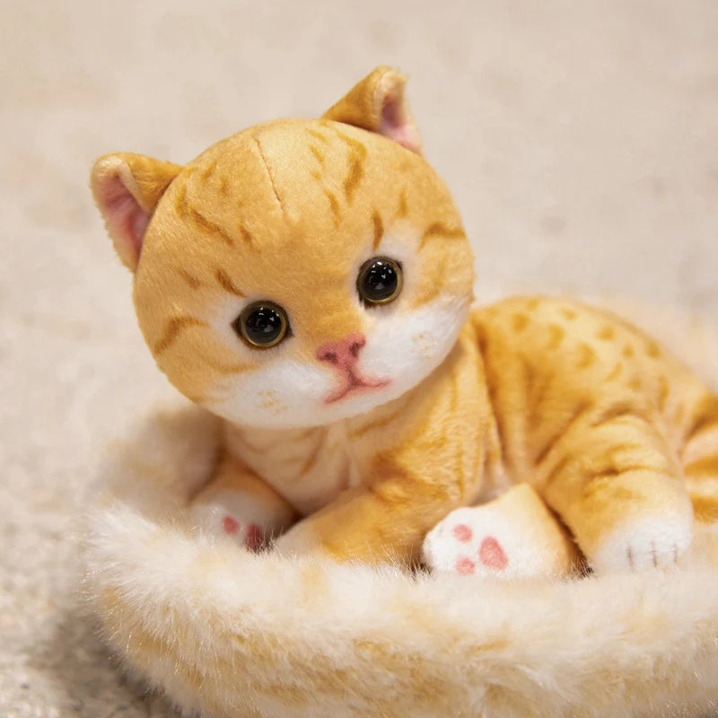 Soft Plush Kitten with Cozy Fabric House Bed - Image 5