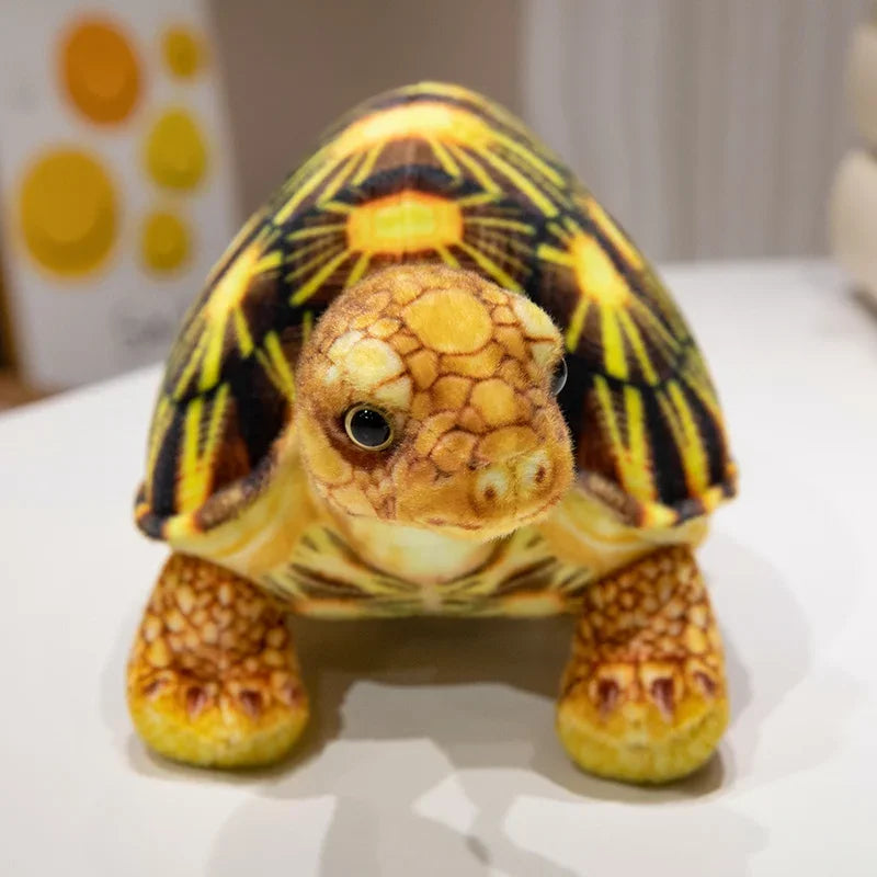 Soft Realistic Turtle Plush with Lifelike Shell Design - Image 4