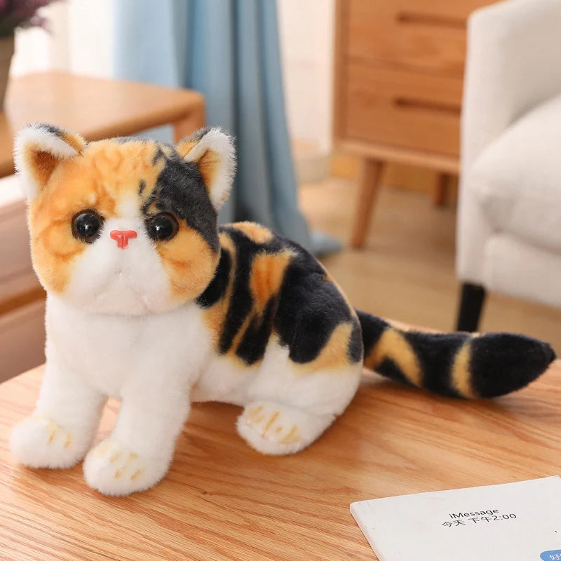 Chubby Big-Eyed Plush Cat Toy - Image 8