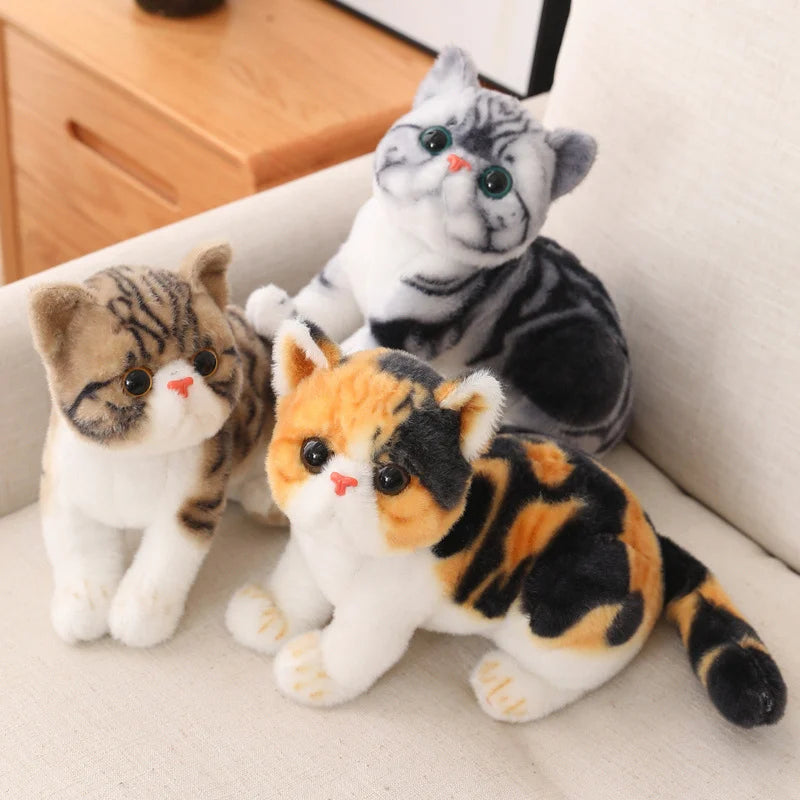 Chubby Big-Eyed Plush Cat Toy - Image 5