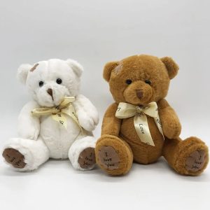 Pair of Plush Teddy Bears with 'I Love You' Feet