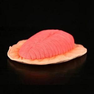 Realistic Coral Salmon Fillet Plush Pillow