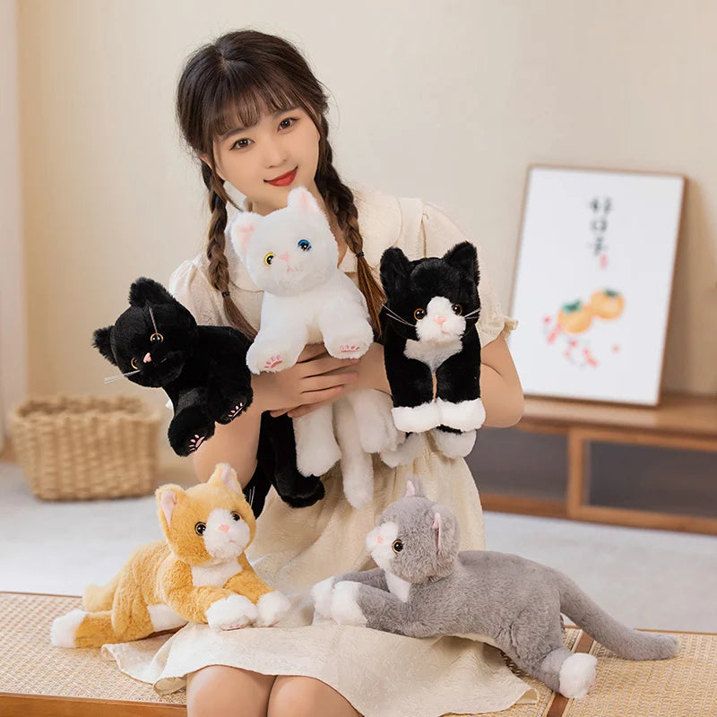 Soft White Plush Cat with Heterochromia Eyes